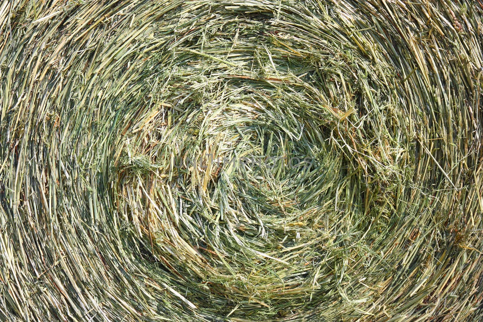 A close-up shot of a large bail of hay