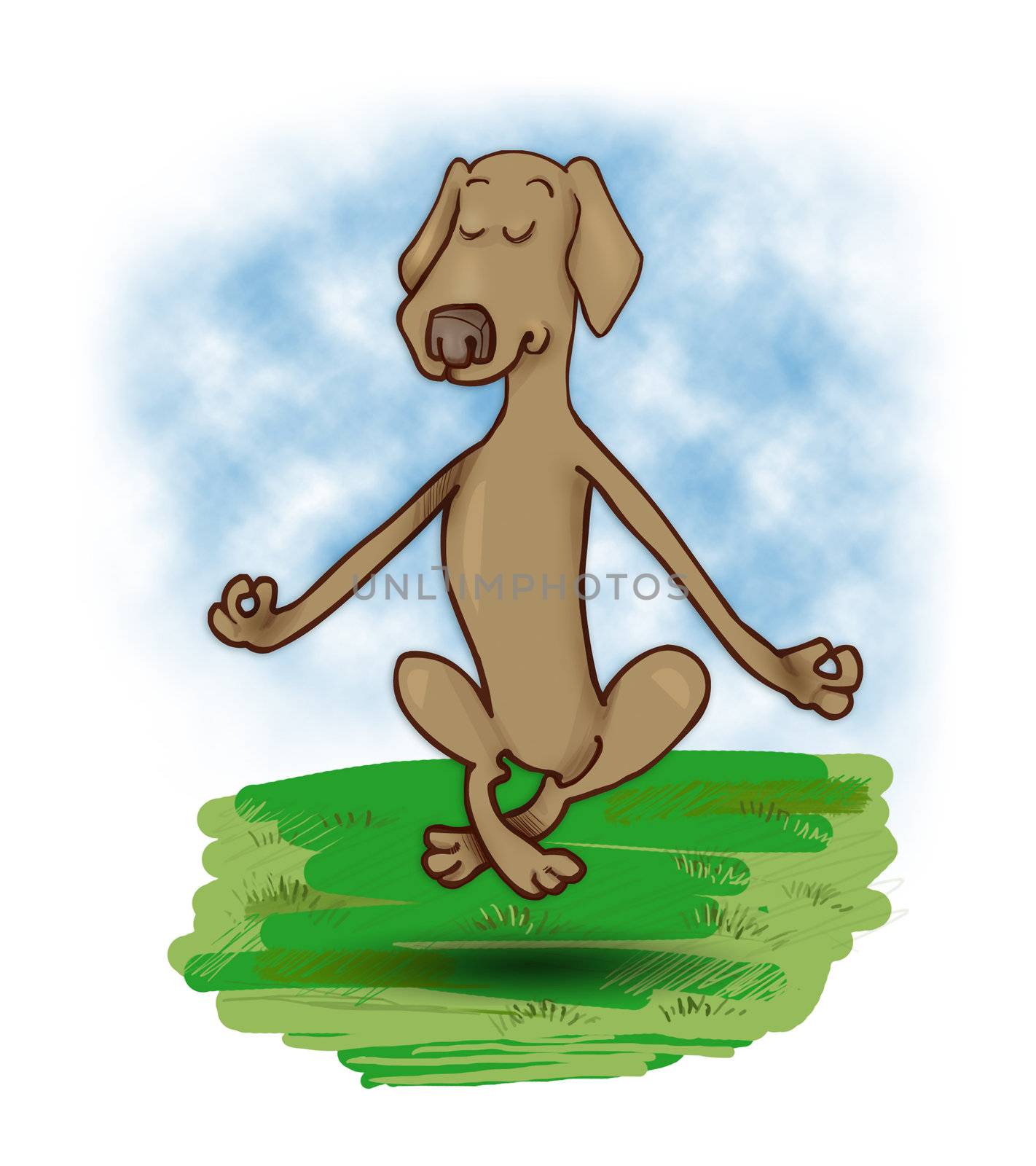 humorous illustration of meditating and levitating dog