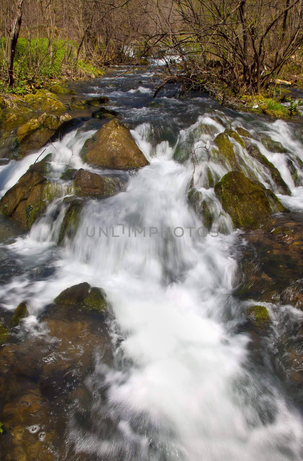 River rapids in the forest in spring time