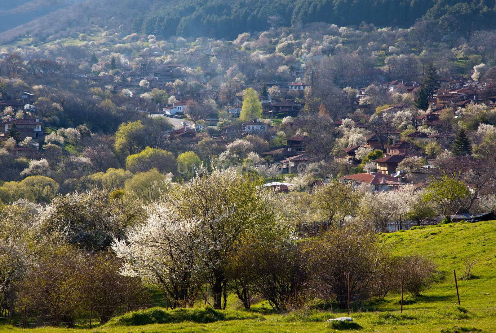 View of Bulgarian village in the mountains with blossoming trees
