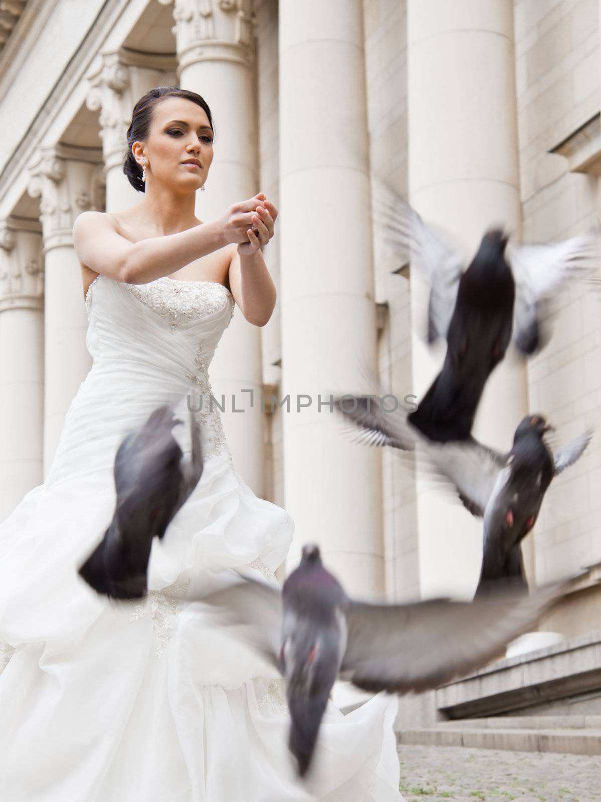 Young beautiful bride releasing grey doves