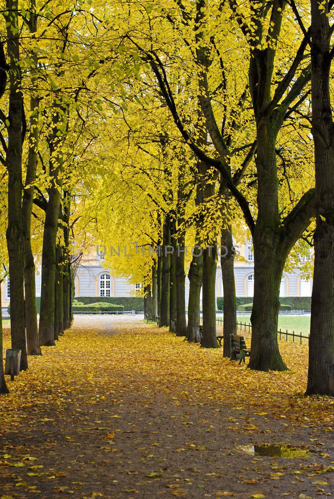 Autumnal park in the center of Bonn, Germany