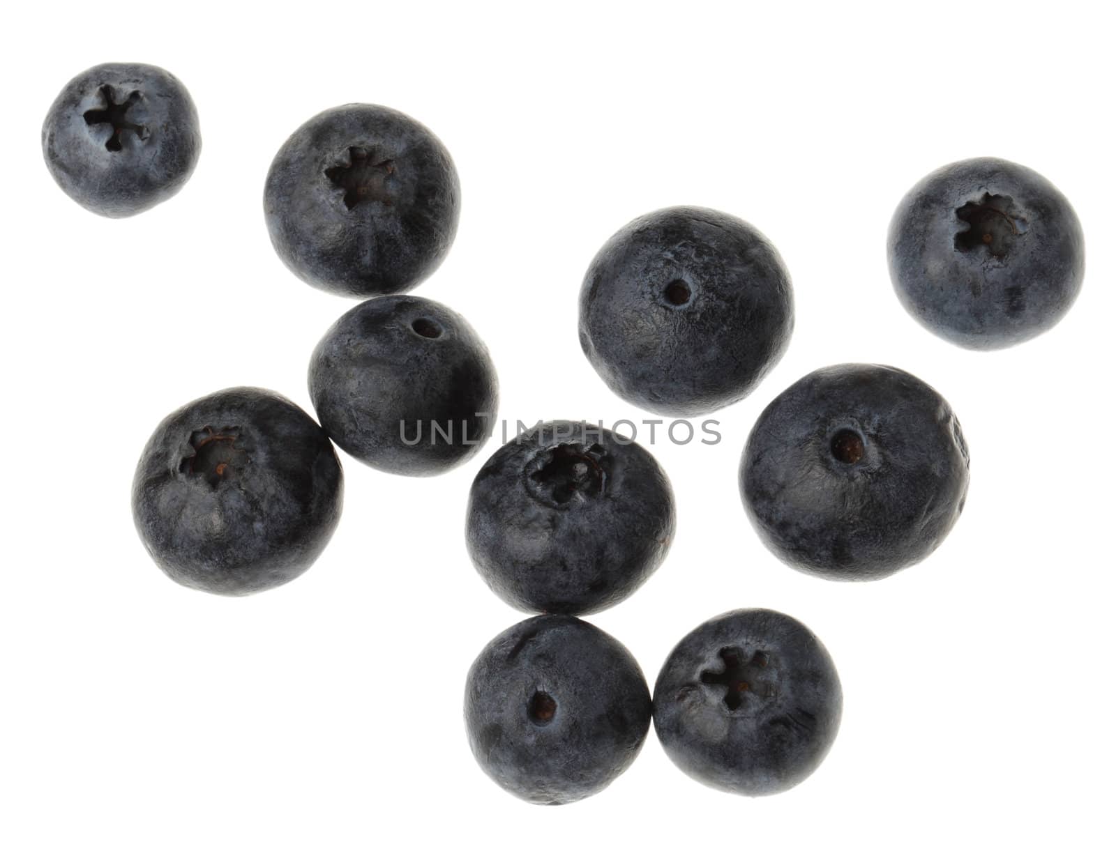 Upper view of blueberries against a white background.