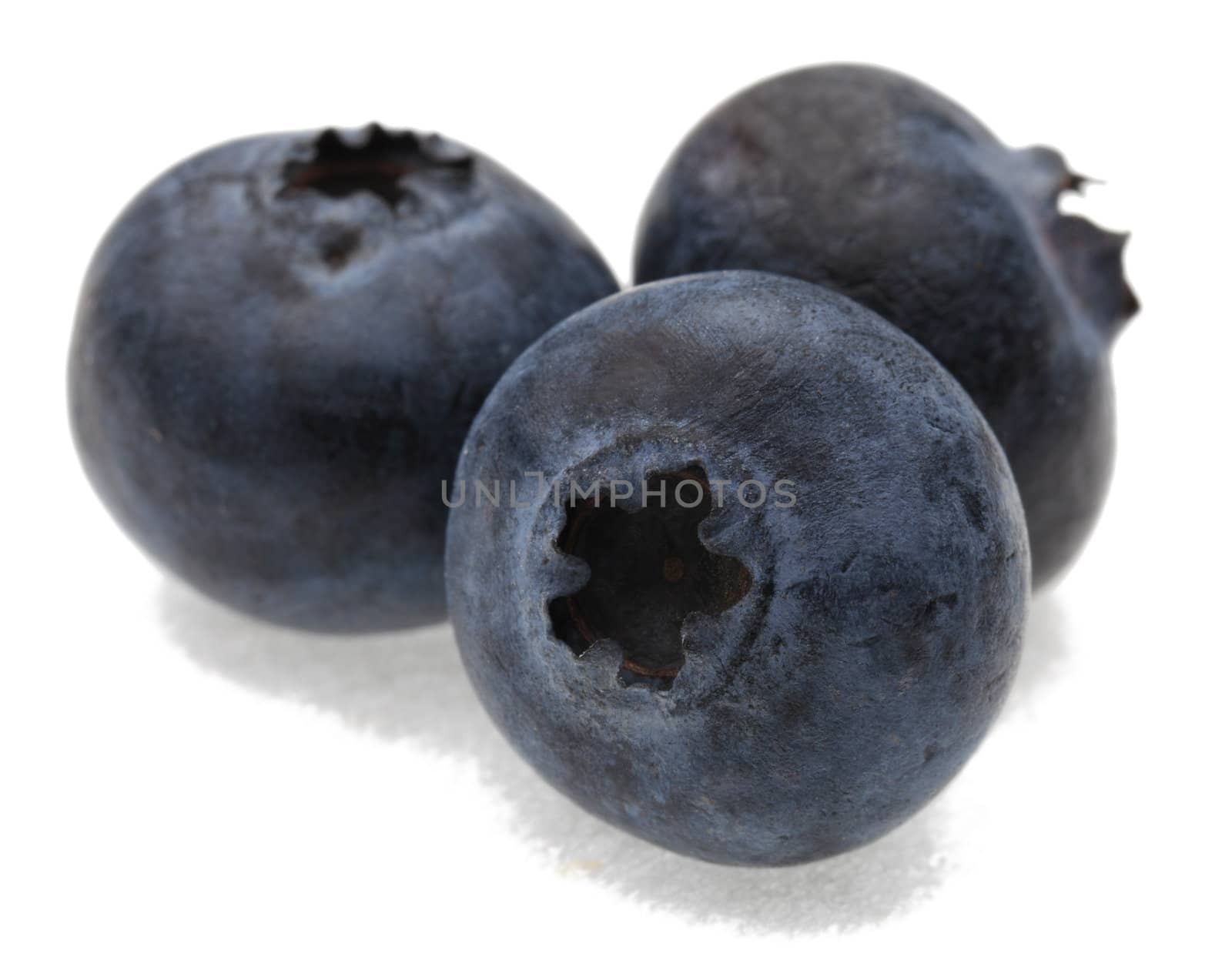 A group of three blueberries photographed in a studio against a white background.Selective focus on the closest blueberry.