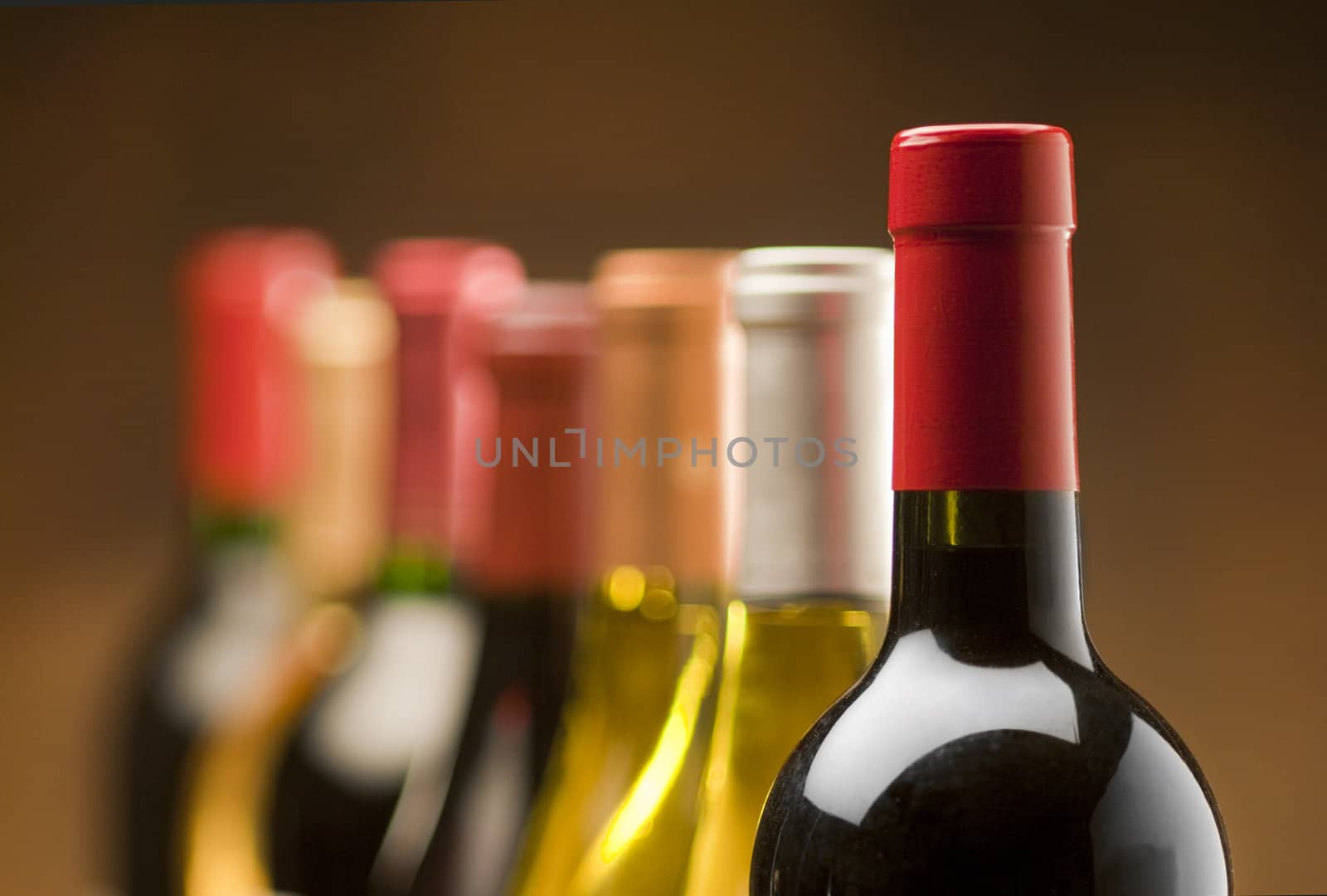 Red wine bottles in focus with limited depth of field