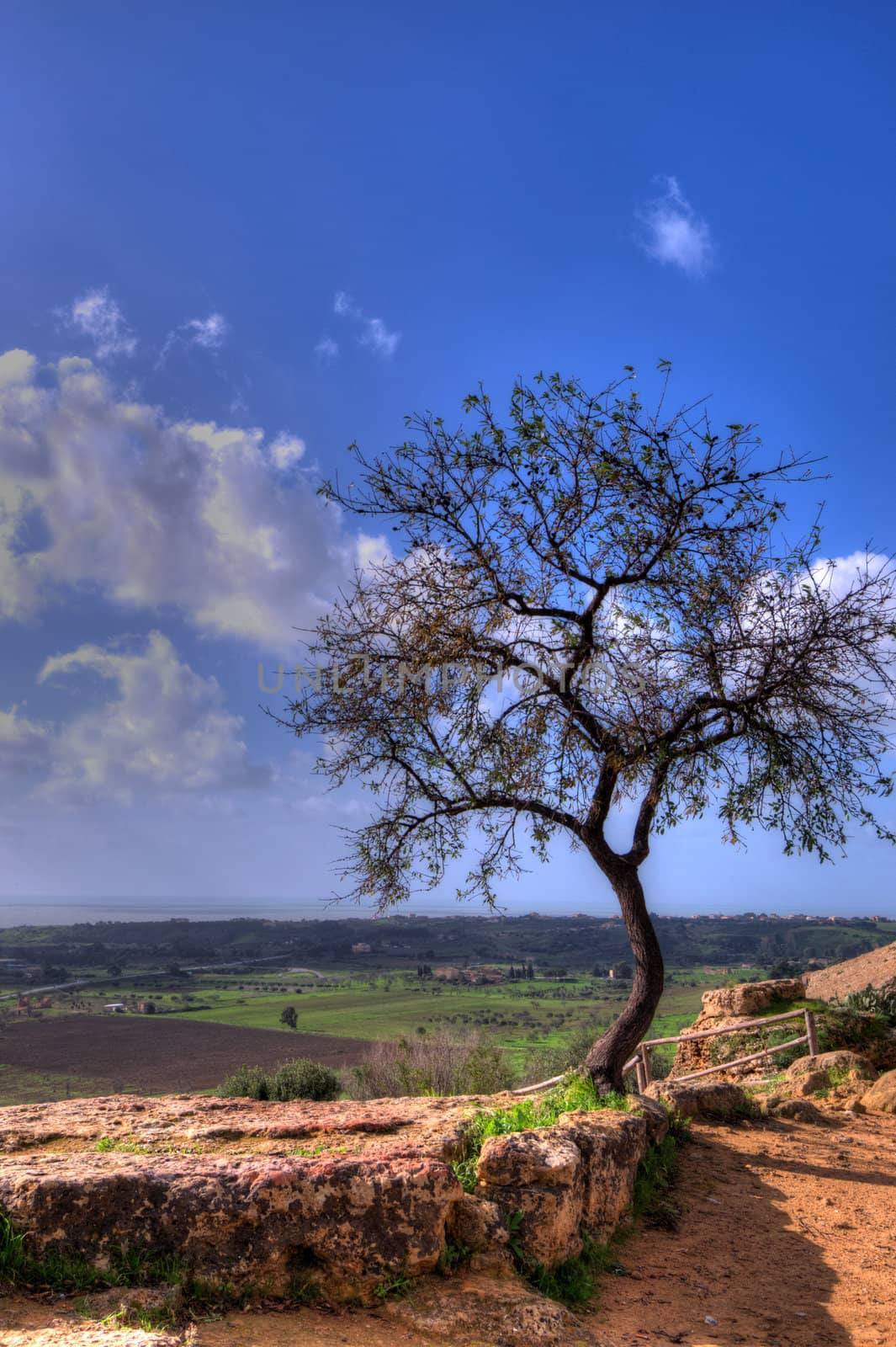 Dynamic Range image hight of the valley of the temples in Sycilia