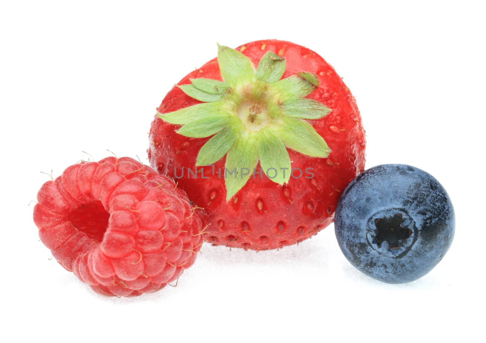 Three berry fruit photographed in a studio against a white background.