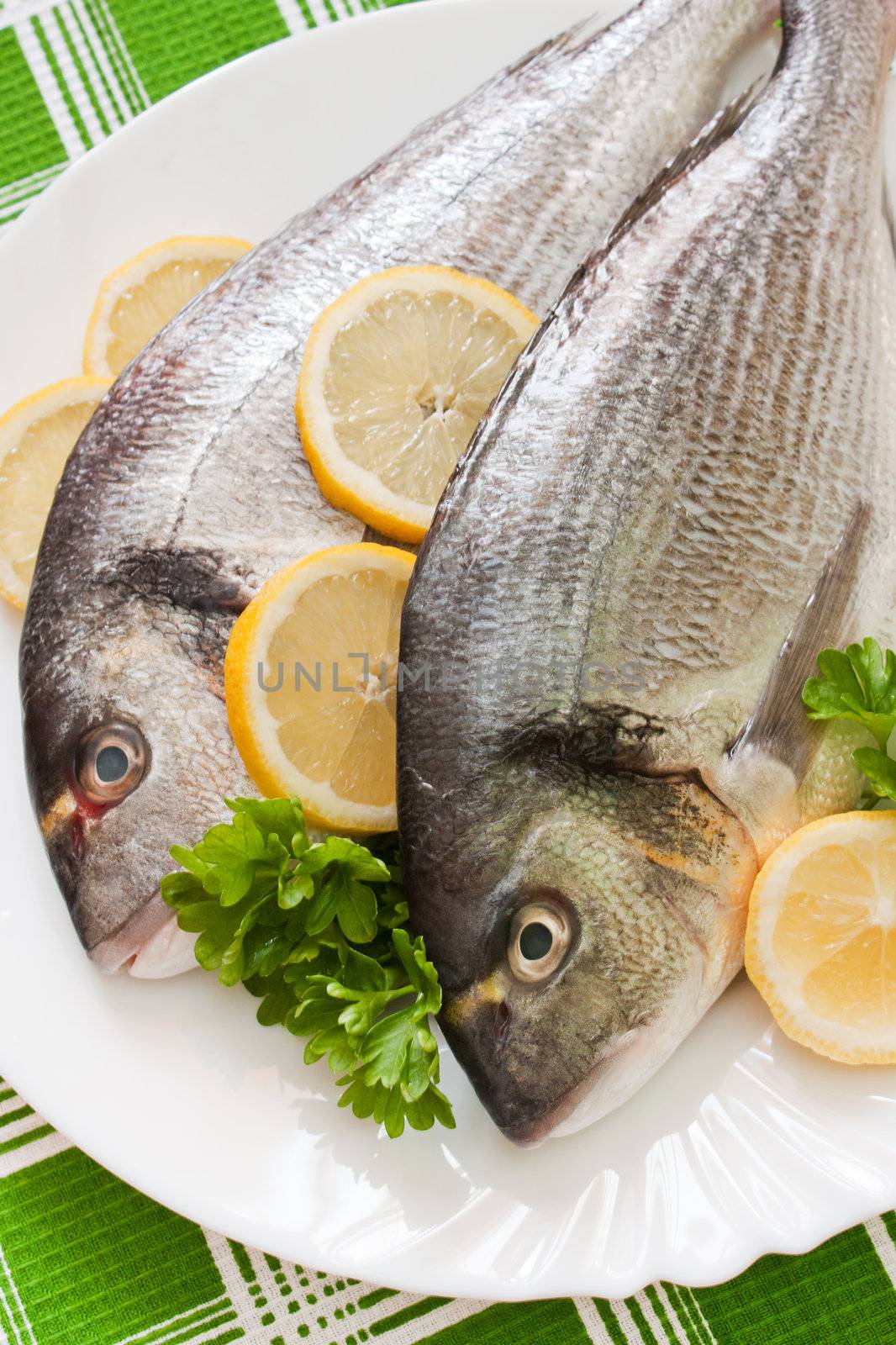 Gilt-head (Sparus aurata)  on plate ready to be cooked