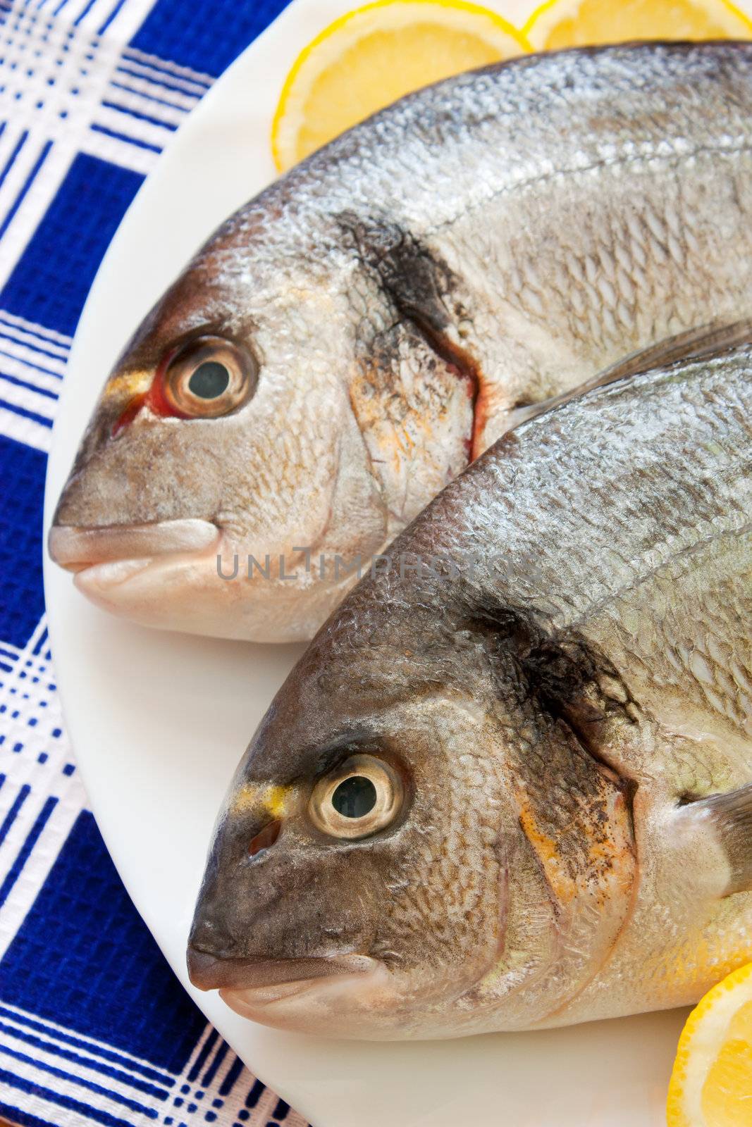 Gilt-head (Sparus aurata)  on plate ready to be cooked