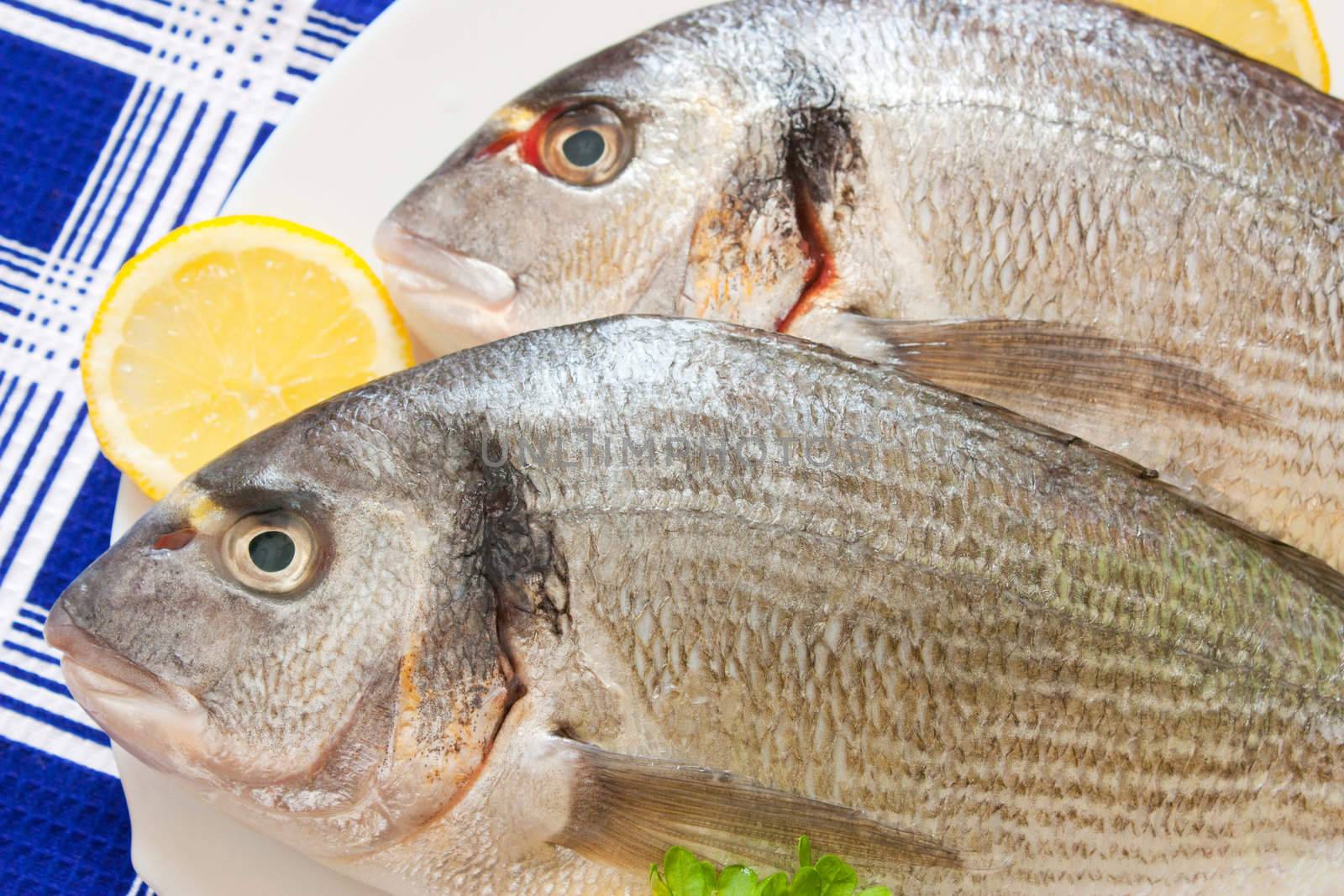 Gilt-head (Sparus aurata)  on plate ready to be cooked