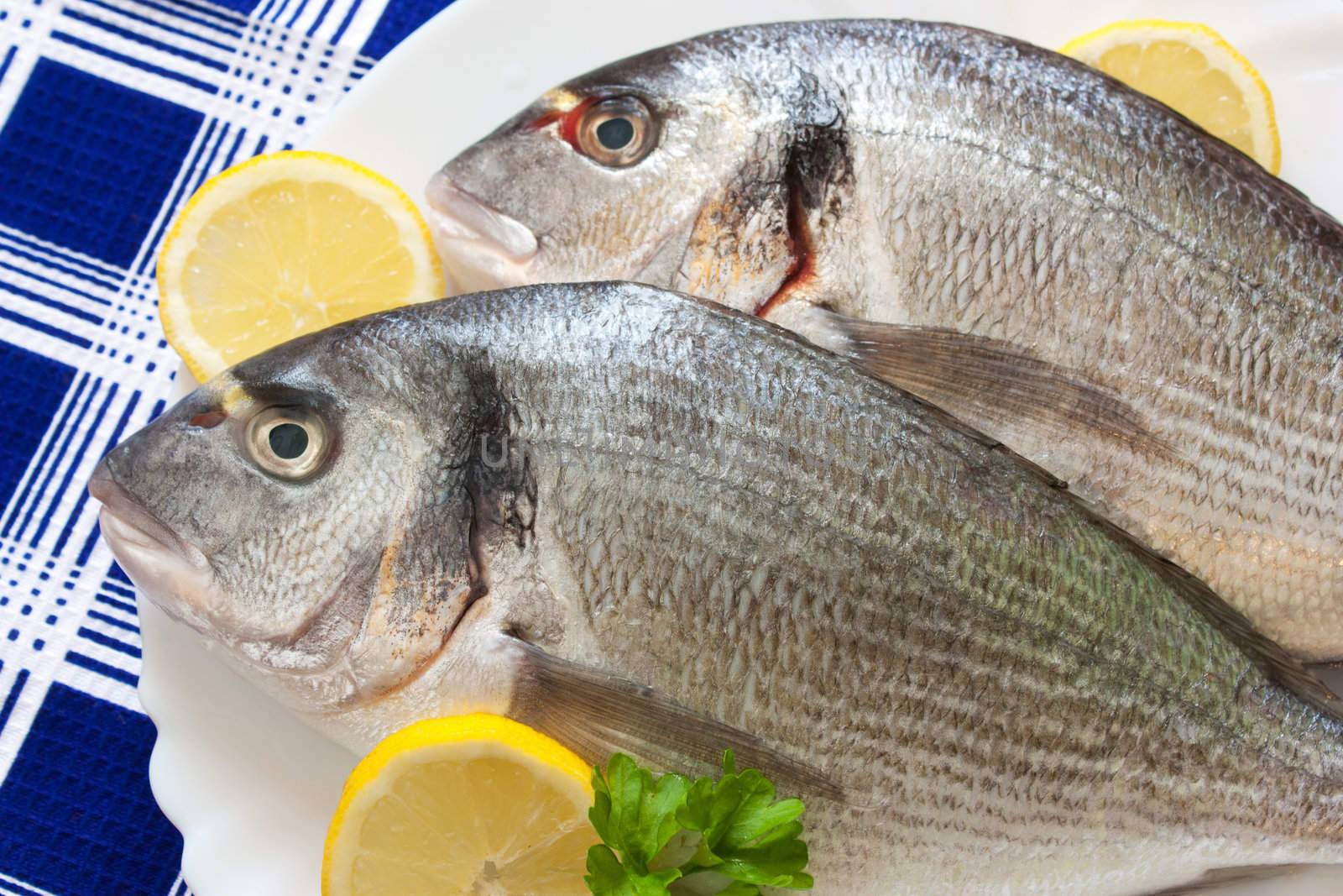 Gilt-head (Sparus aurata)  on plate ready to be cooked