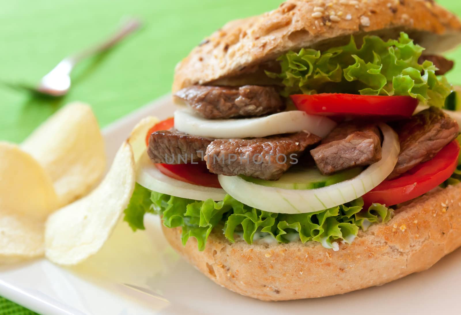 Fresh and healthy sandwich with vegetables and beef sliced