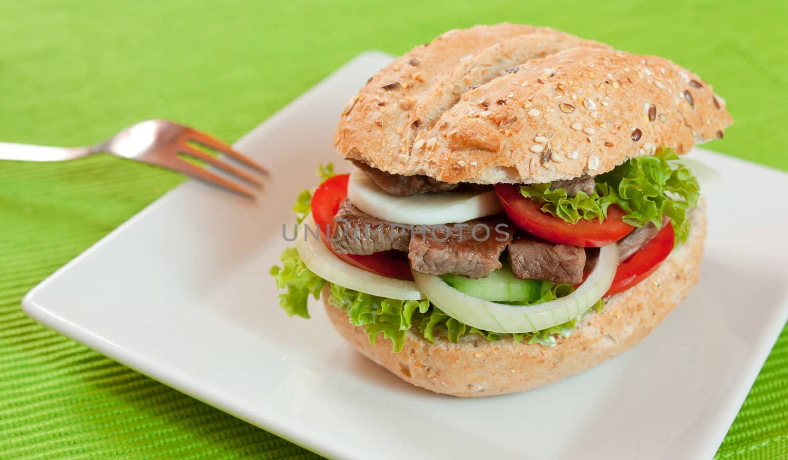 Fresh and healthy sandwich with vegetables and beef sliced