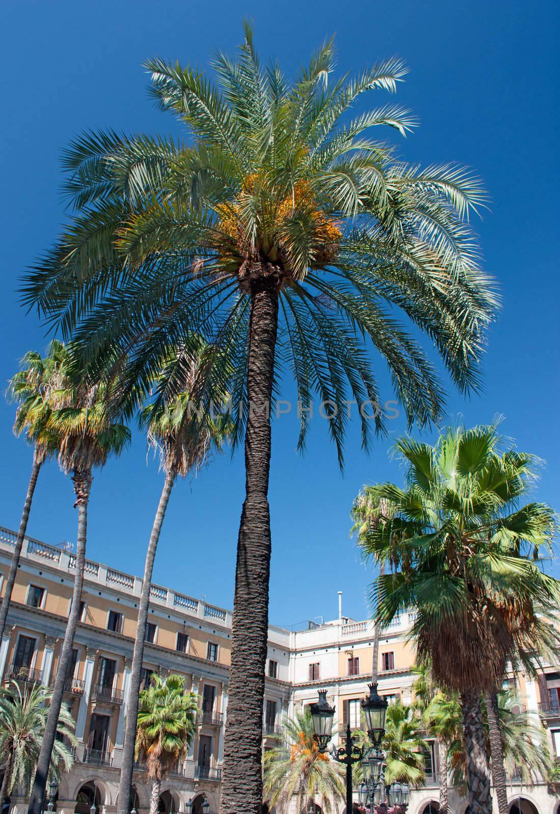 The Plaza Reial (place of kings) in Barcelona - Europe