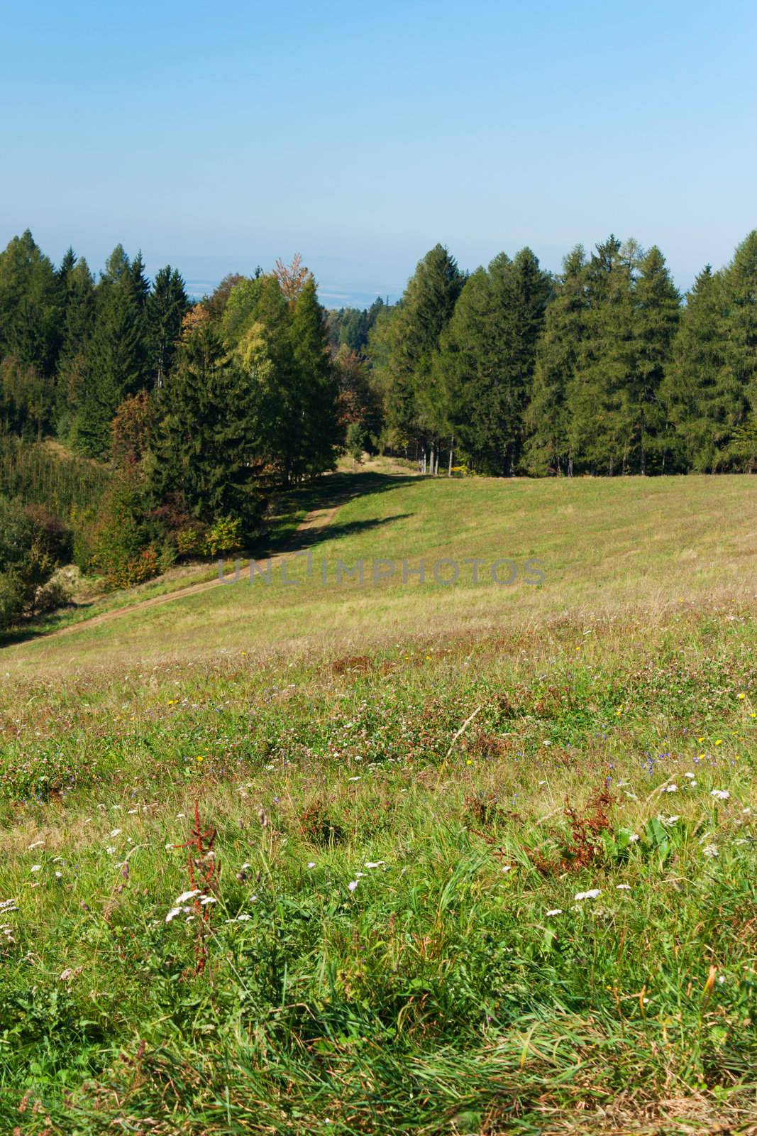 Countryside landscape in Northern Bohemia - Czech Republic