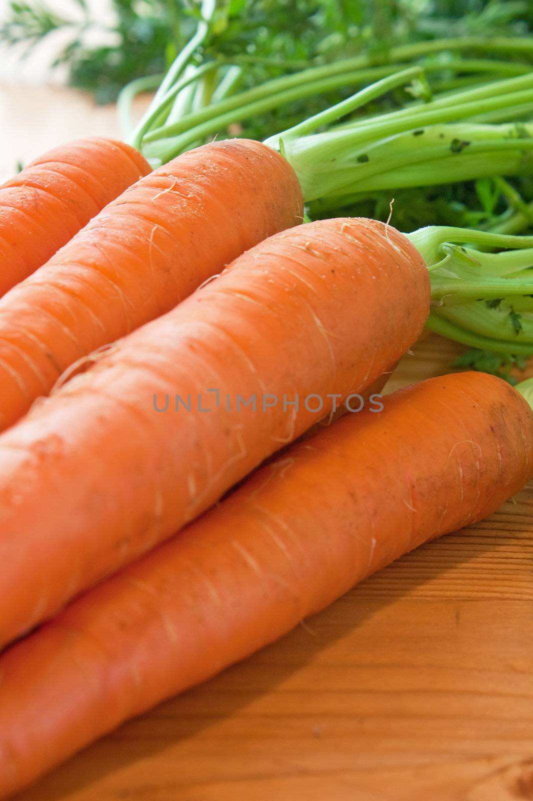 Background of brunch of fresh carrot with roots