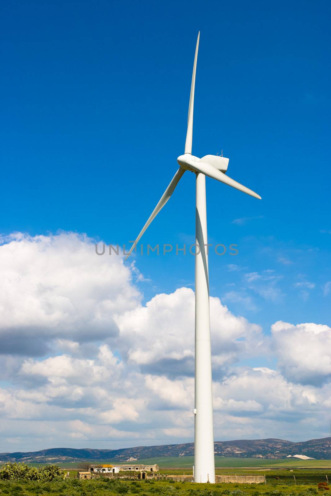 Typical windmill or aerogenerator of aeolian energy