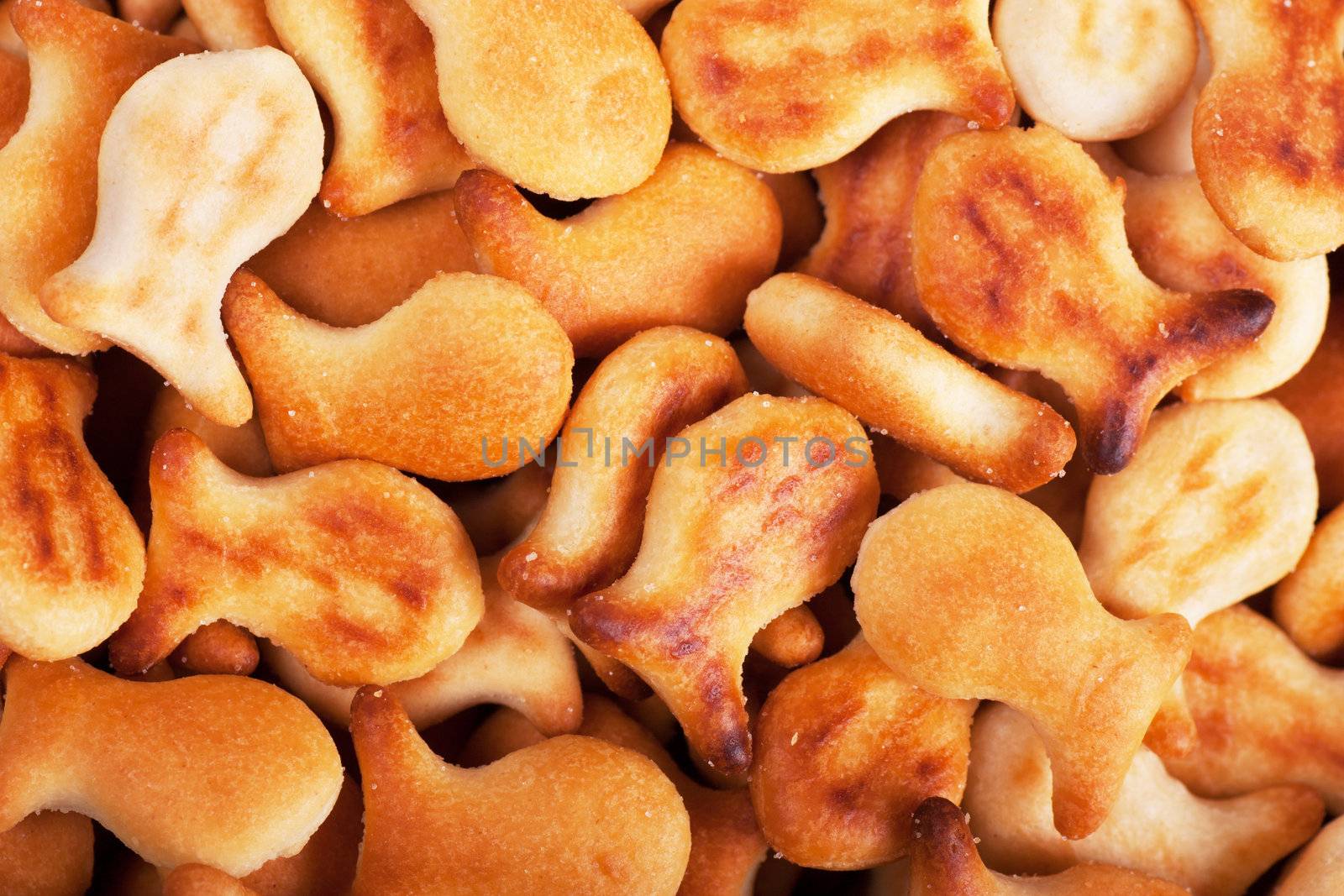 Closeup view of fish shaped crackers