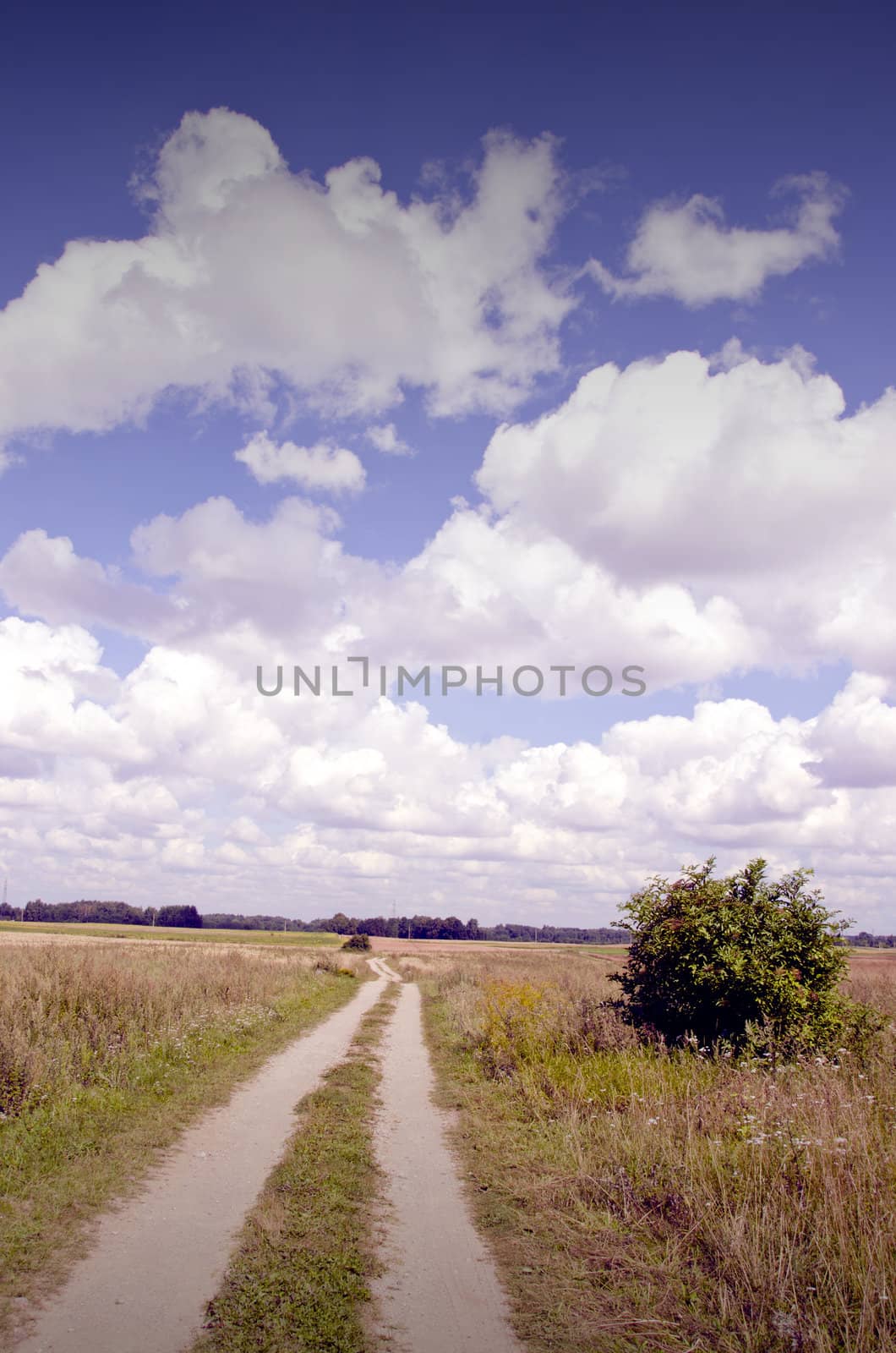 Gravel road between meadows. by sauletas