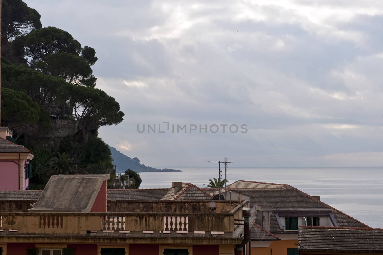 Mediterranean vegetation and typical roofs of liguria