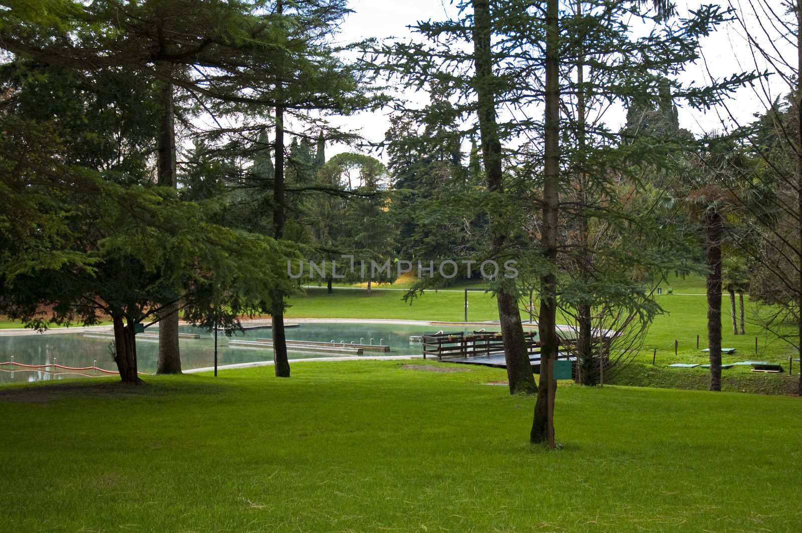 thermal lake in a park during the winter season