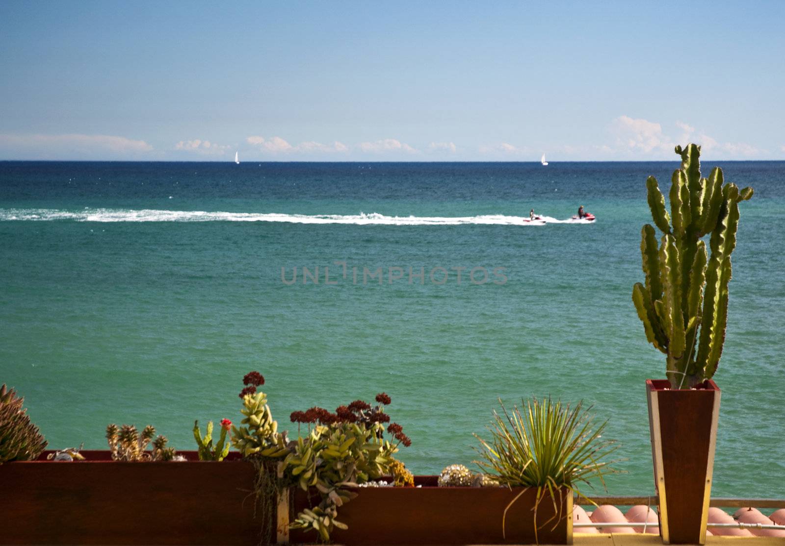 Terrace on the sea with potted plants and water cycles in the background
