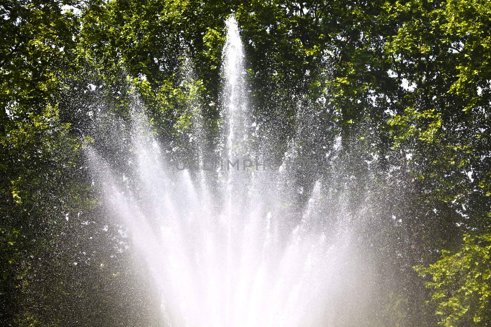 Fountain in a park on a hot summer day
