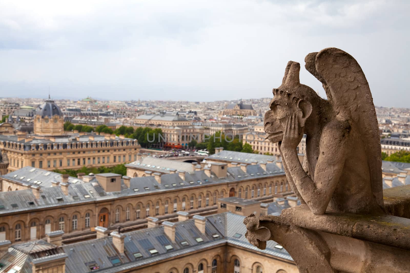 Gargoyle on the Notre Dame cathedral in Paris