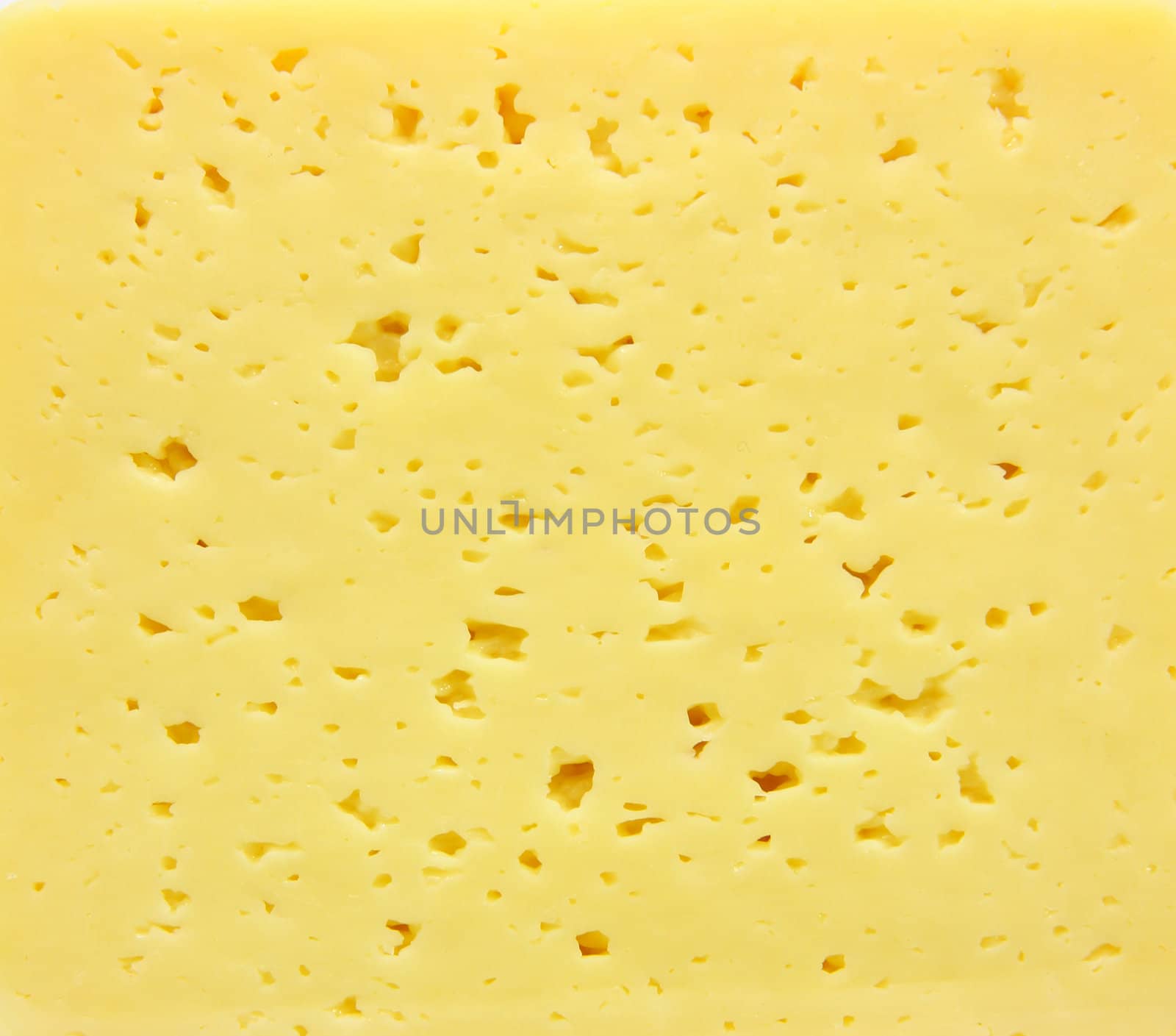 Background of fresh yellow Swiss cheese with holes