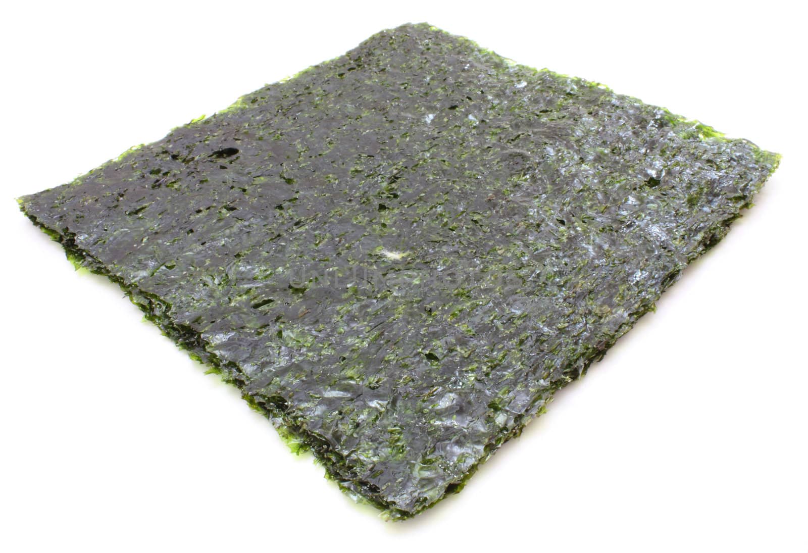 Sushennaja sea kale in sheets for land preparation