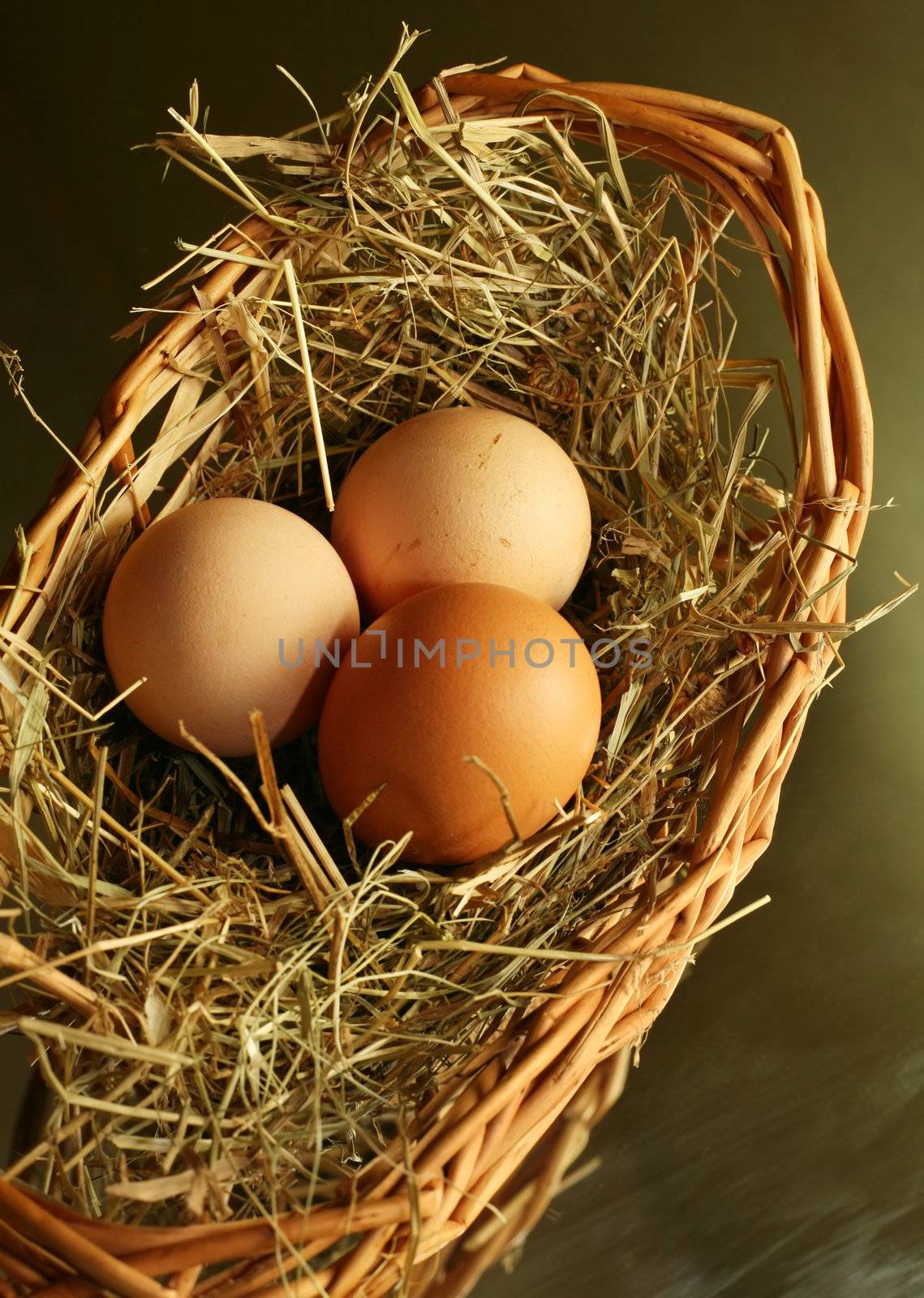 Three brown eggs latent in a dry grass