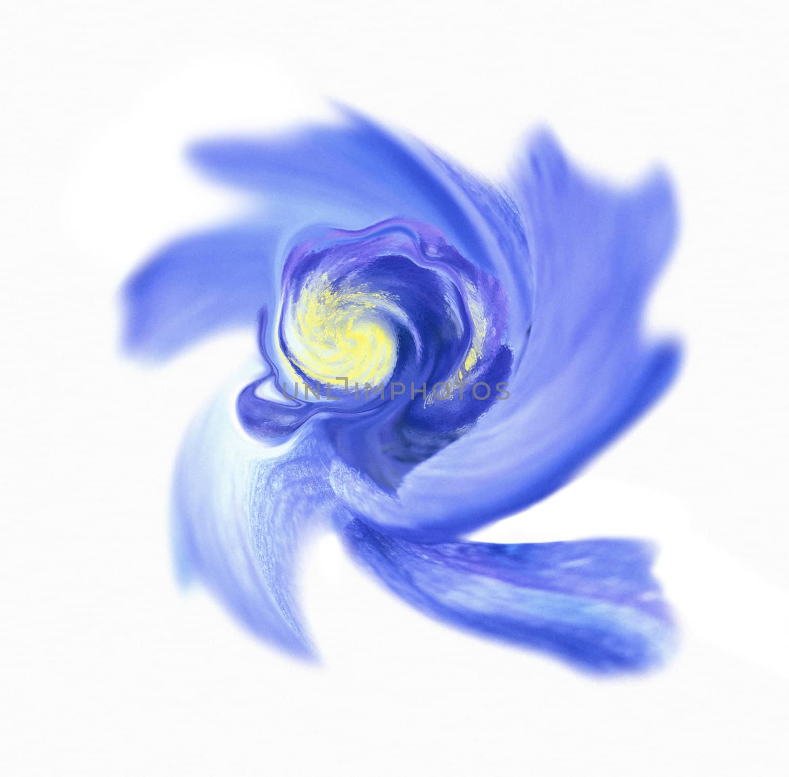 abstract flower