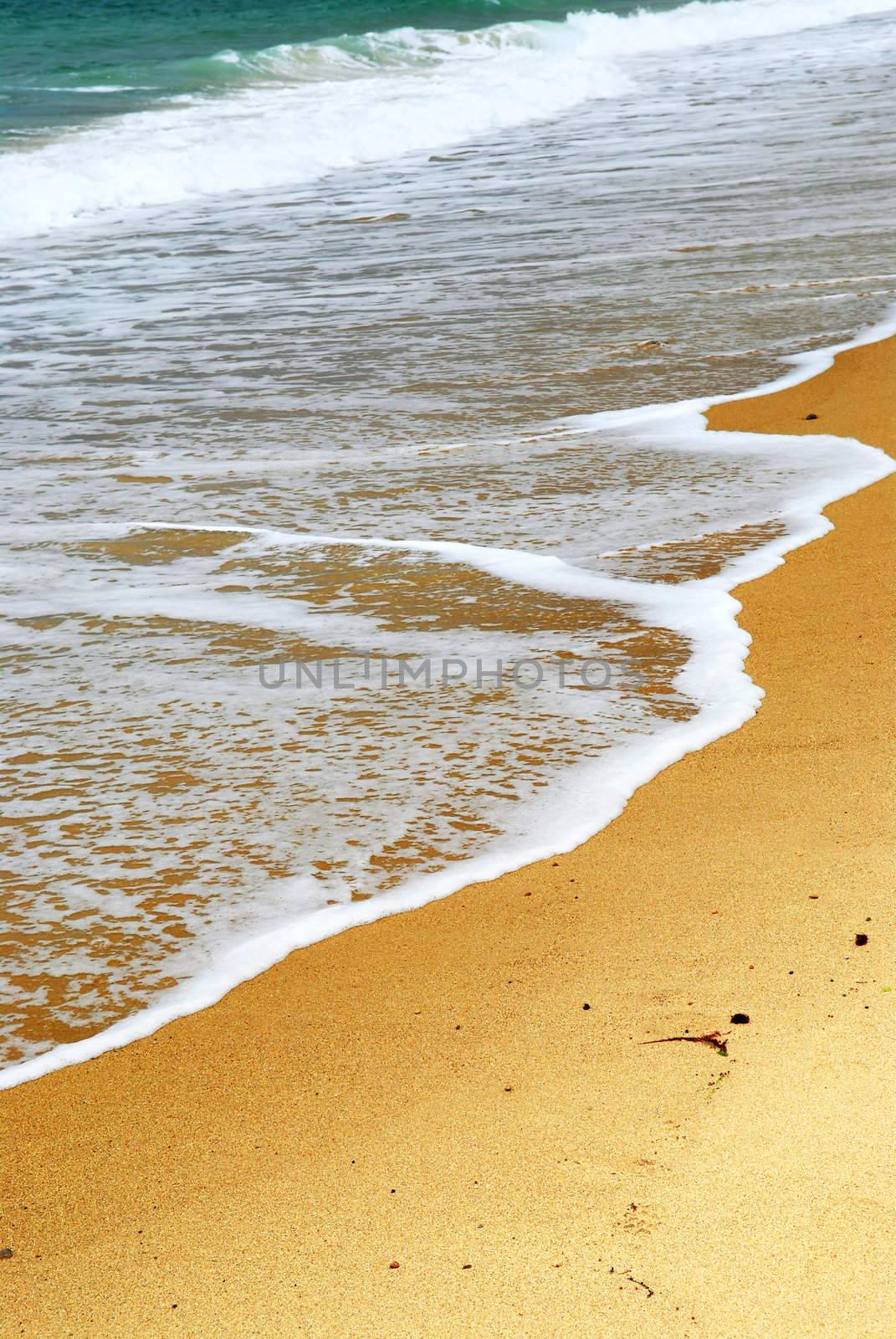 Ocean wave advancing on a sandy beach, natural background