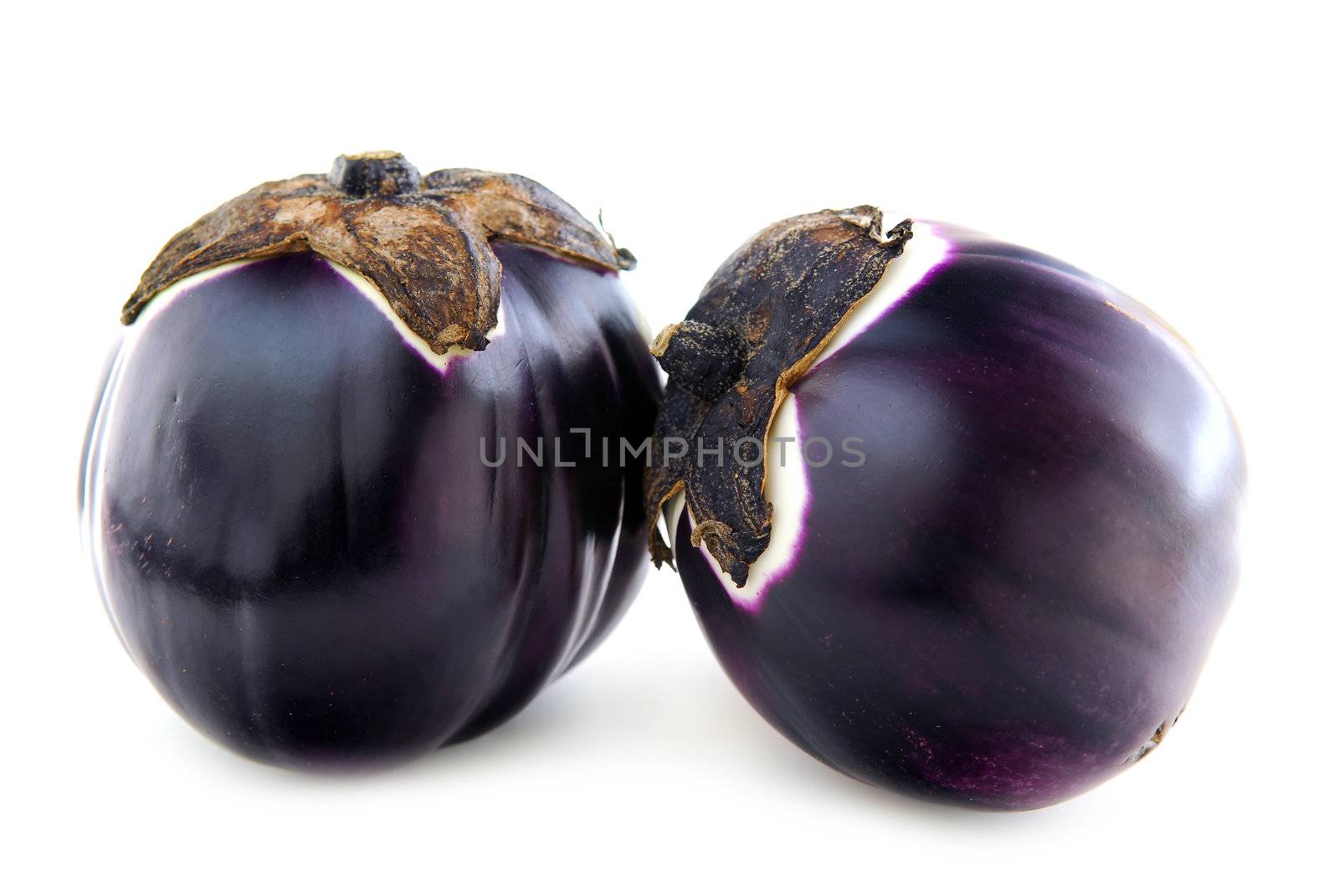 Two round eggplants (prosperosa) isolated on white background