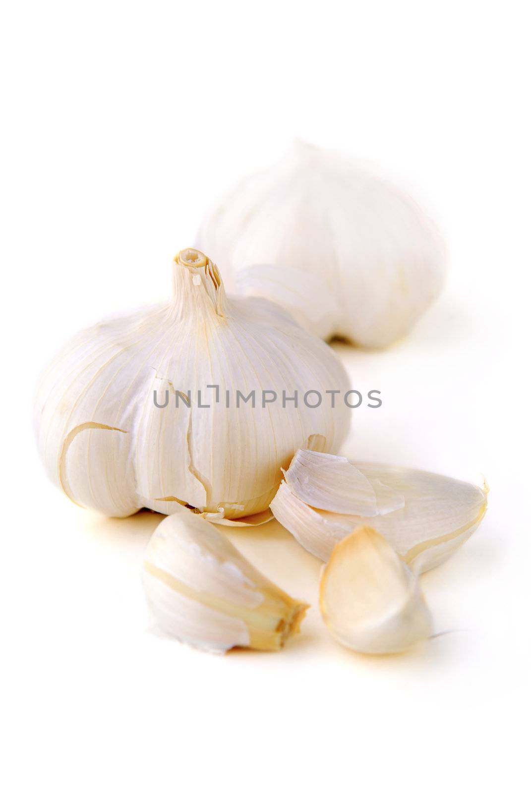 Bulbs and cloves of garlic isolated on white background