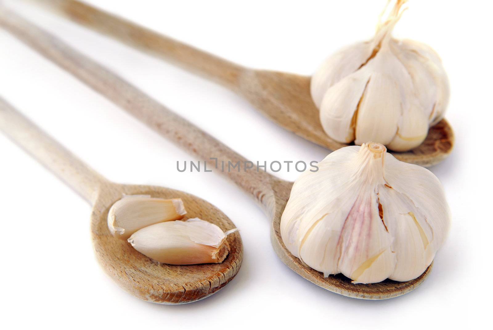 Bulbs and cloves of garlic on wooden spoons isolated on white background