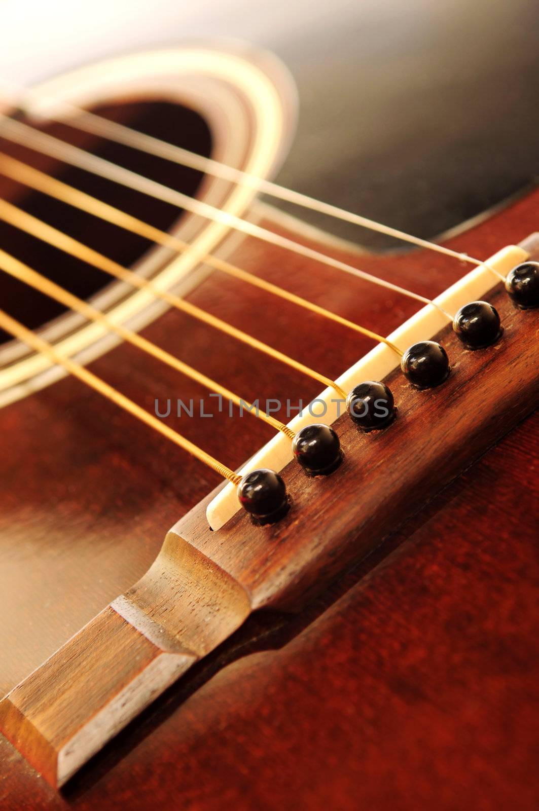 Acoustic guitar bridge and strings close up