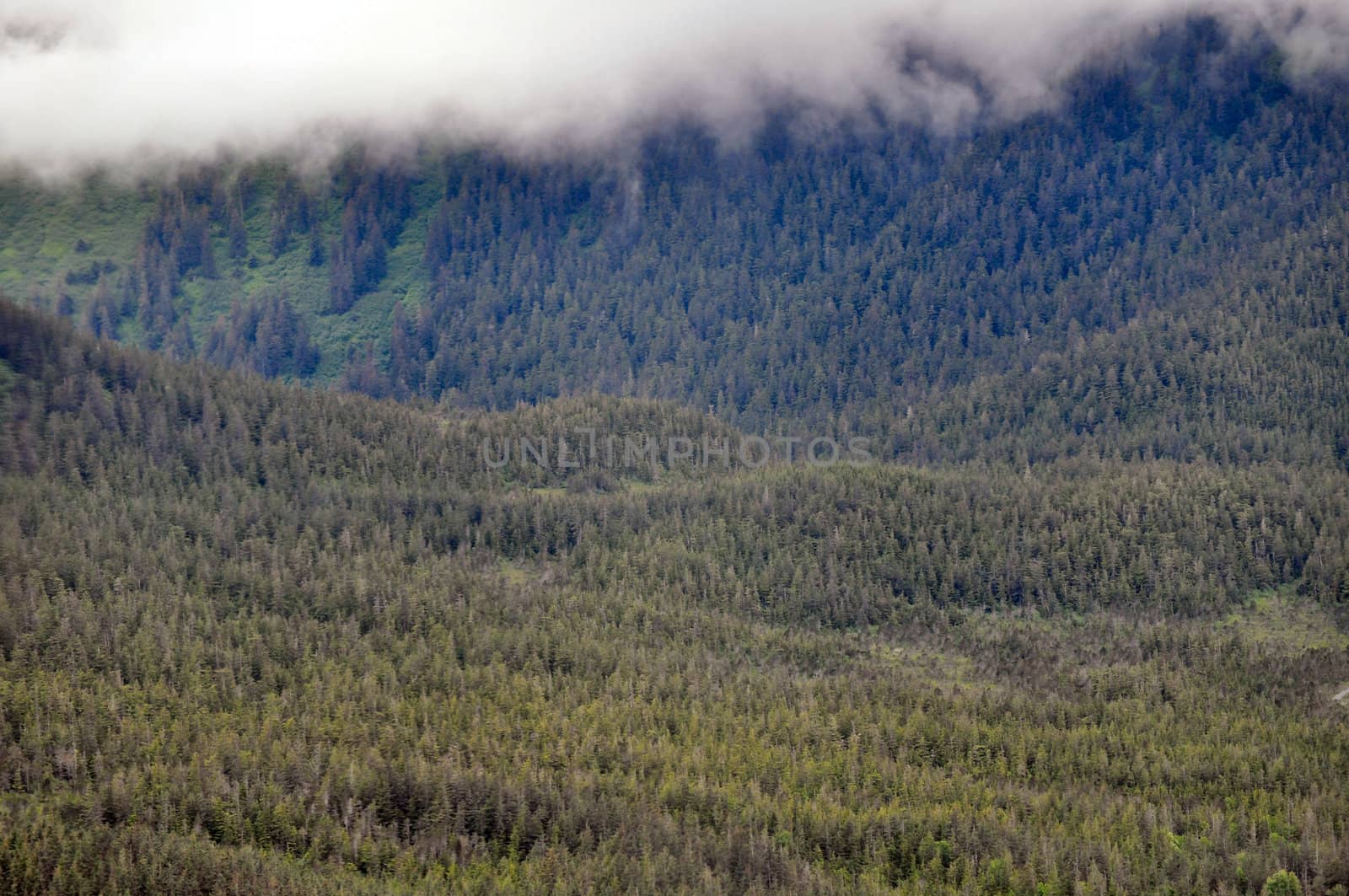 Alaskan Mountains by RefocusPhoto