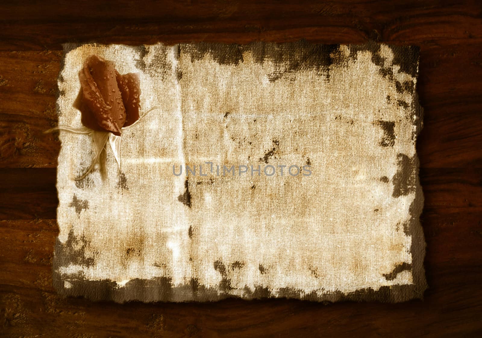 romantic background, rosebud in old fabric on wooden background