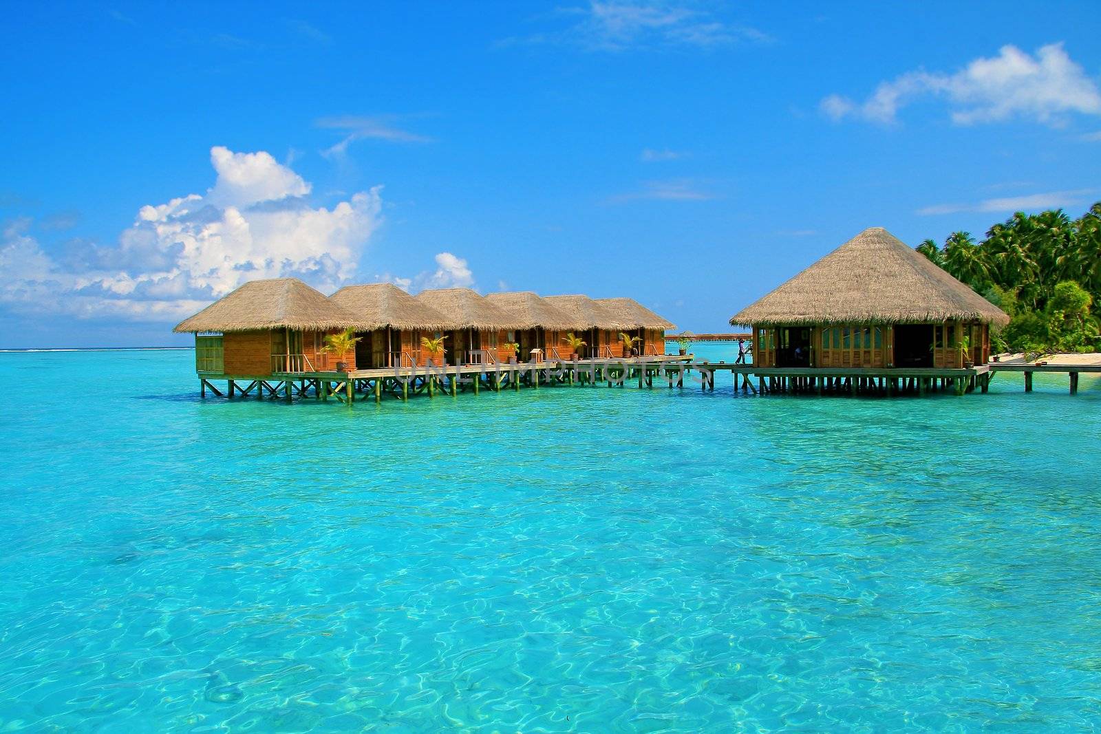 White beach and turquoise water on Meeru Island, Maldives