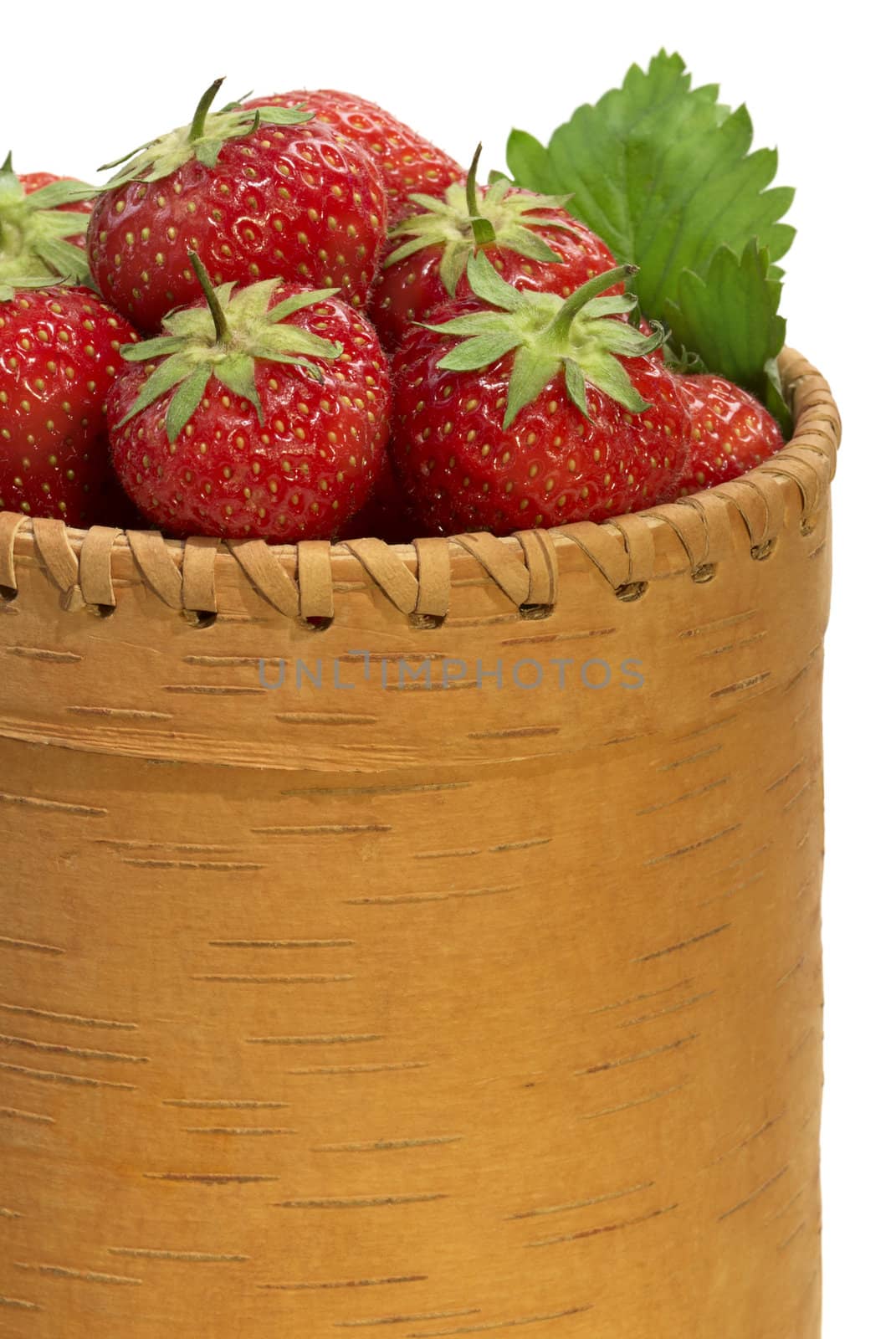 Strawberry in bark basket by Kamensky
