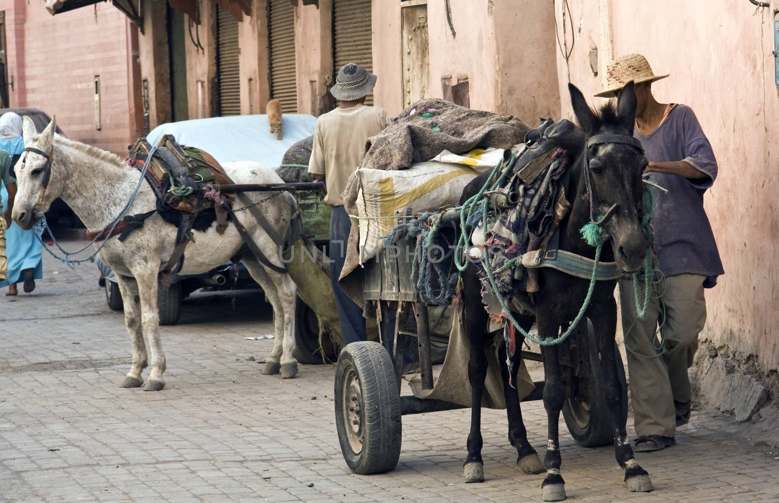 Horse and cart, Marrakech, Morocco by khellon