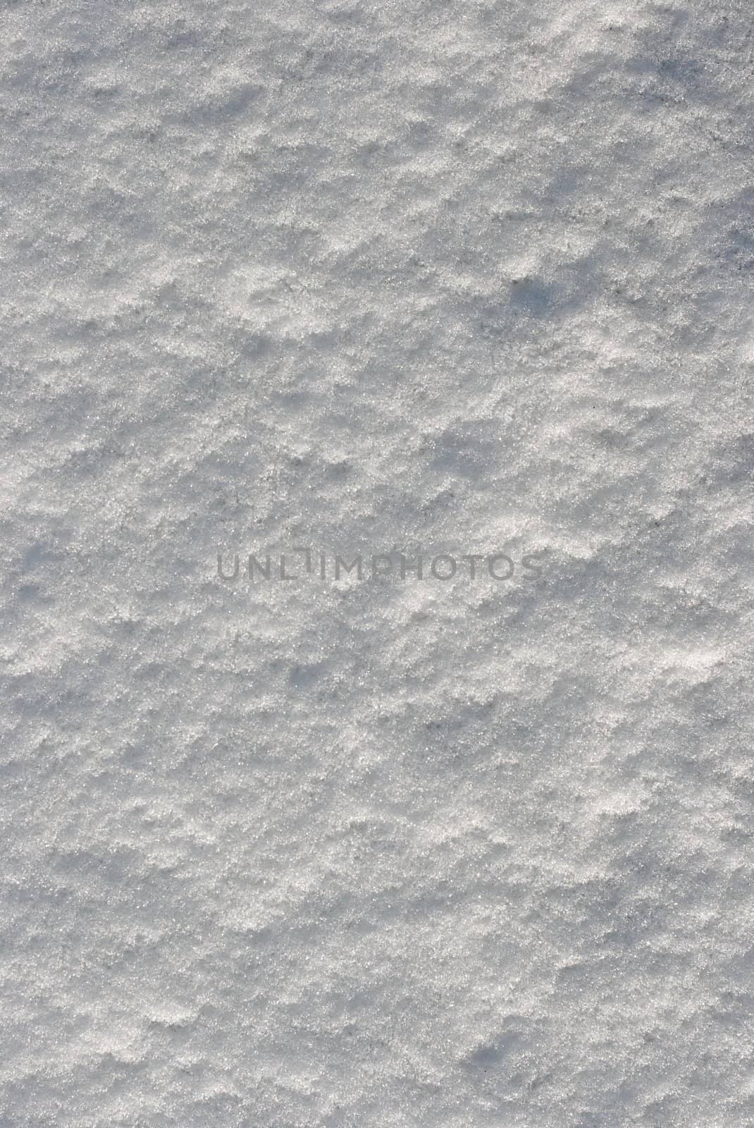 Snow by Gudella