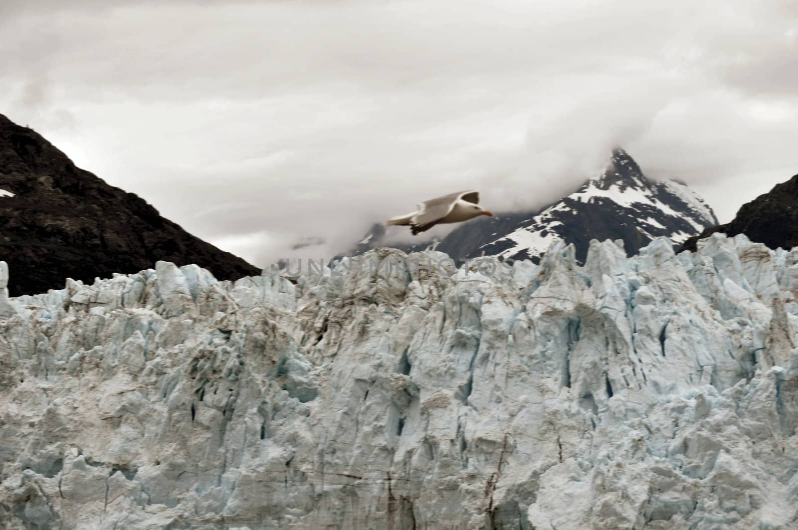 Alaskan Glaciers by RefocusPhoto