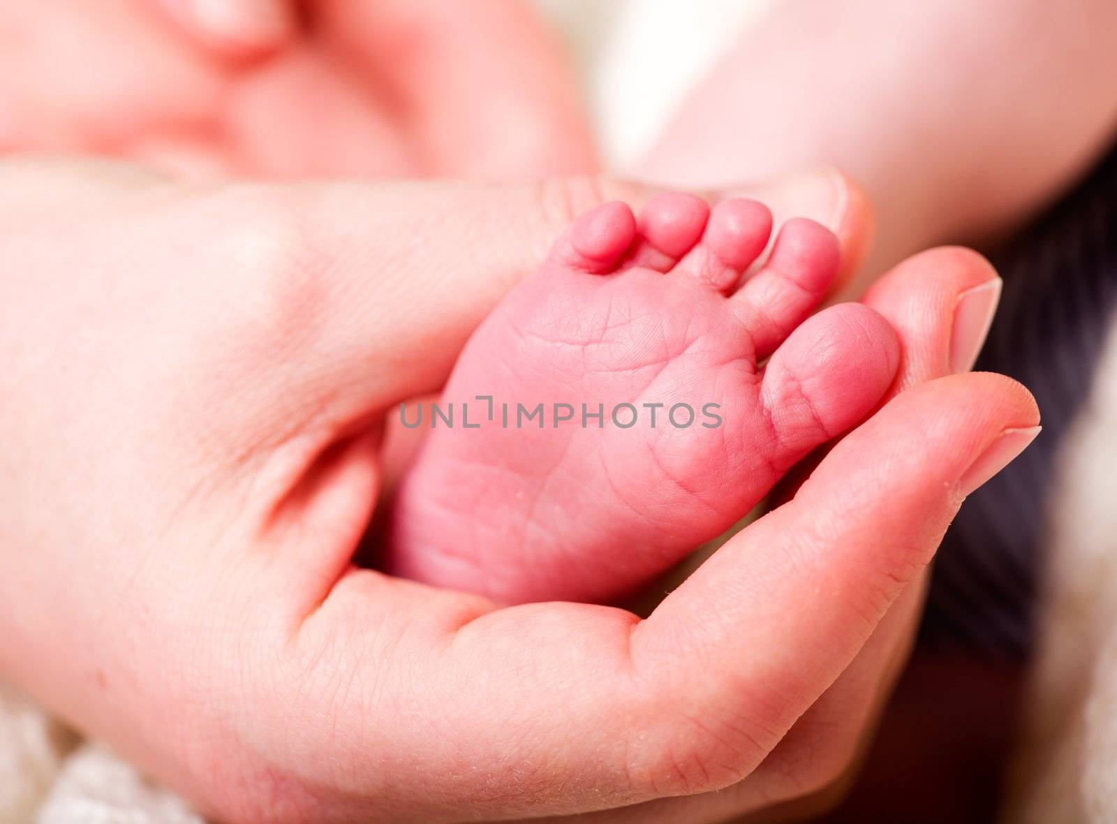 A mother's hand holding the foot of her baby