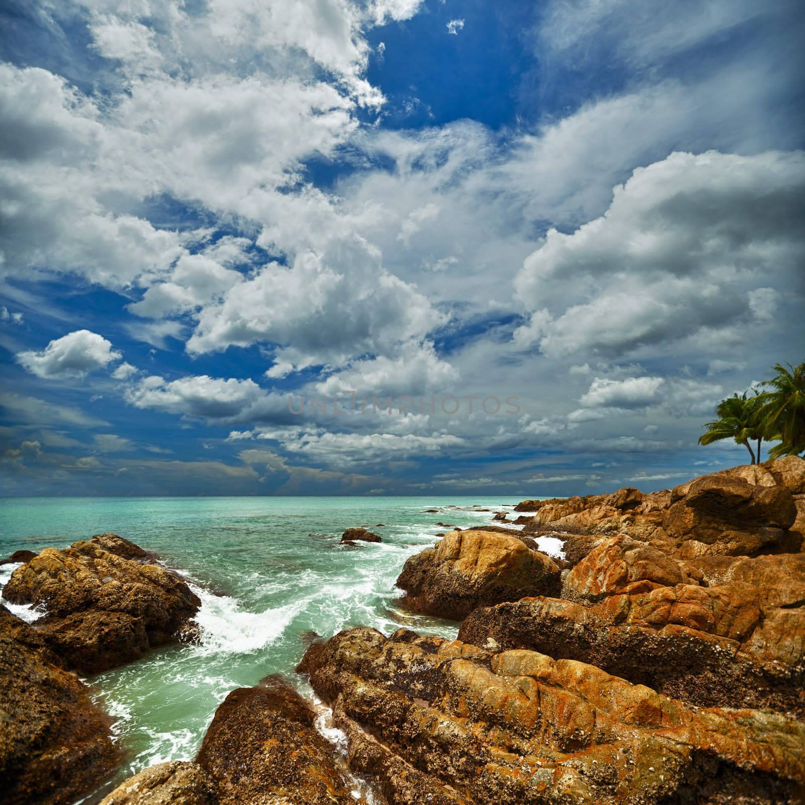 Beautiful square seascape with rocks and palms