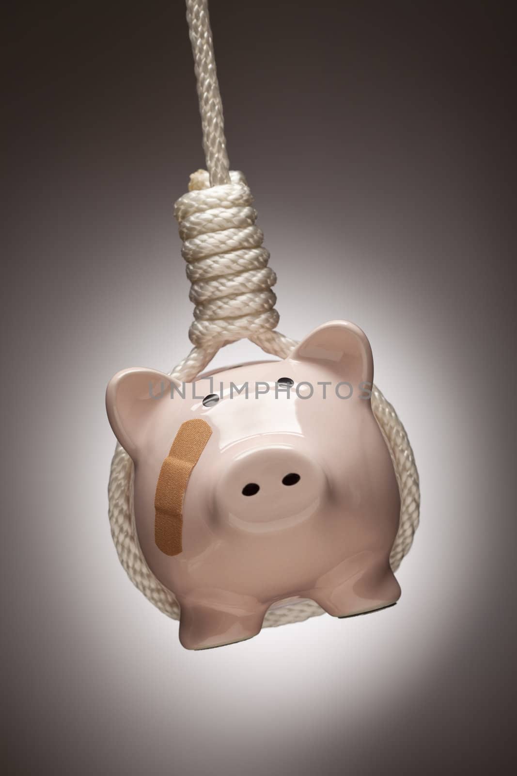 Piggy Bank with Bandage Hanging in Hangman's Noose by Feverpitched