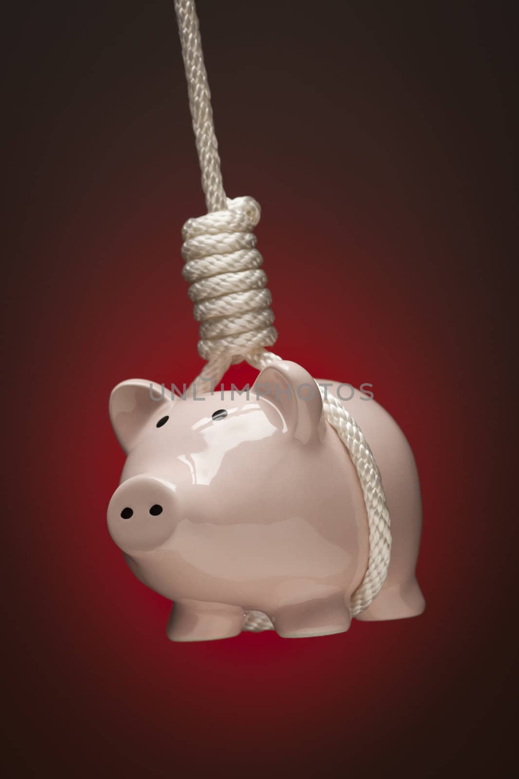 Piggy Bank Hanging in Hangman's Noose on Red Spot Lit Background.