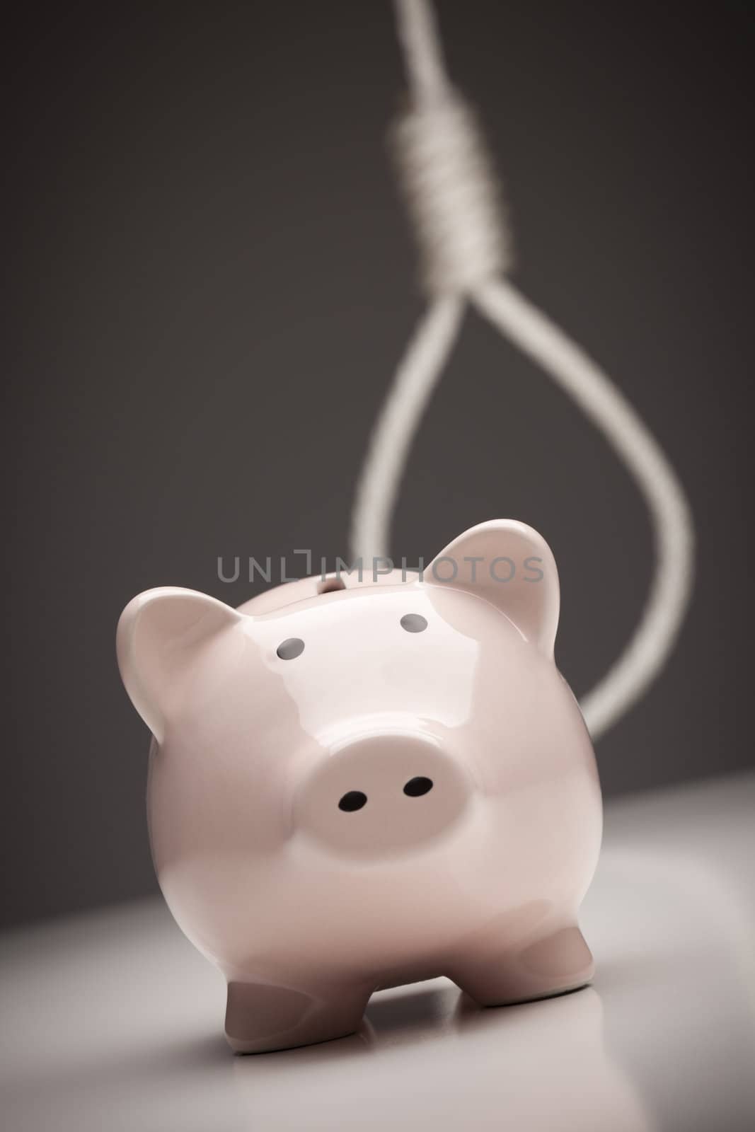 Piggy Bank with Hangman's Noose Behind on Grey Background.