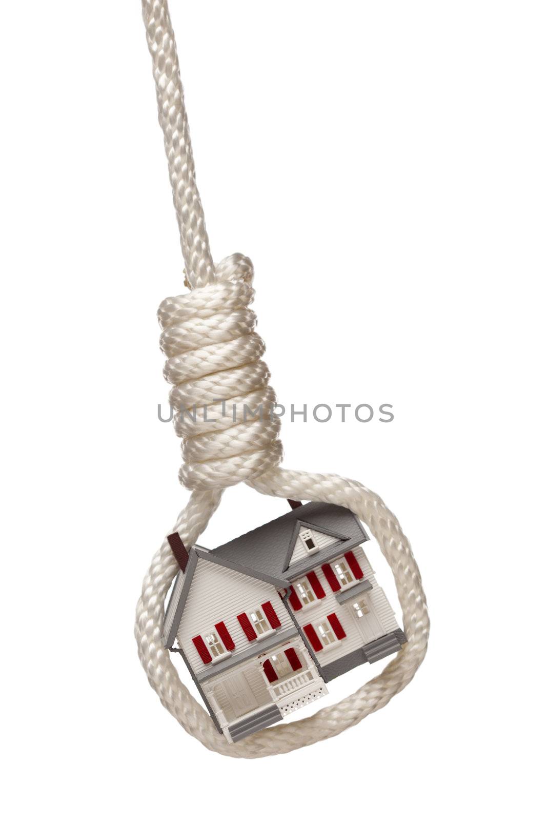 House Tied Up and Hanging in Hangman's Noose on White by Feverpitched